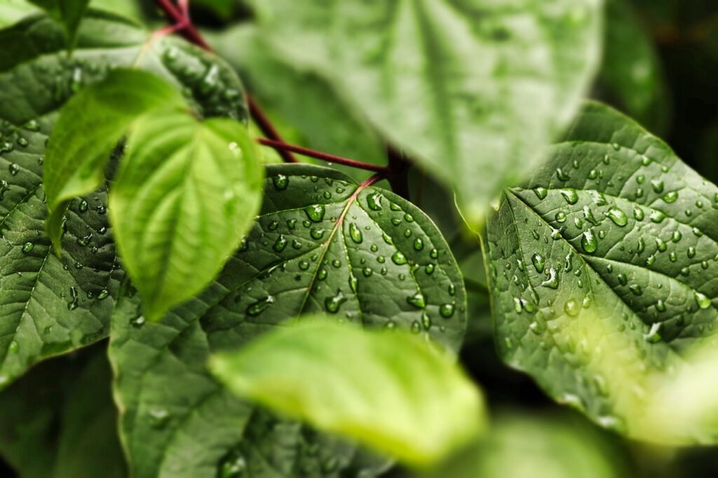découvrez comment financer des projets d'intelligence artificielle respectueux de l'environnement grâce à des solutions eco-friendly innovantes. soutenez un avenir durable avec nos conseils sur le financement vert de l'ia.