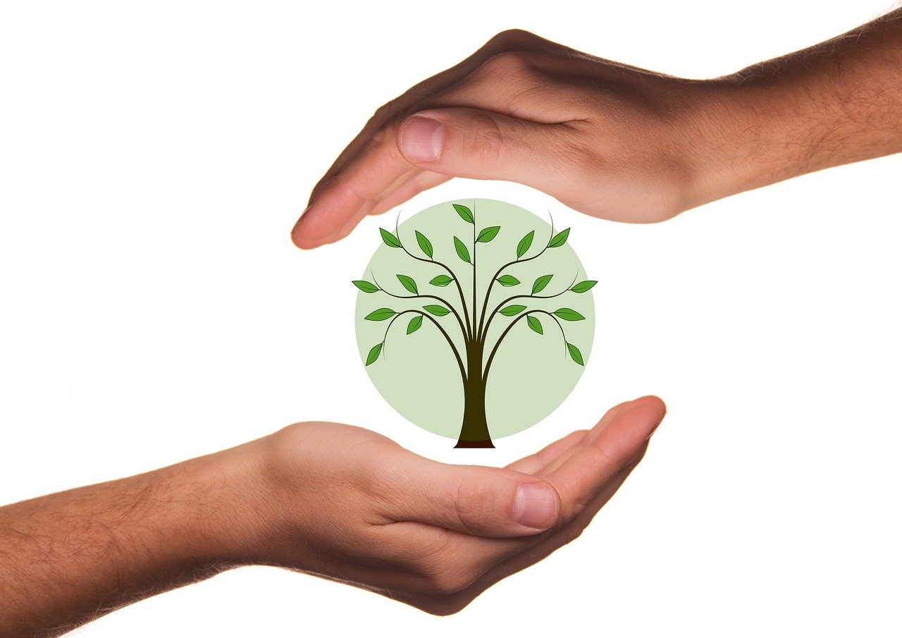 découvrez tout sur les subventions éco-responsables : aides financières, critères d’éligibilité et conseils pour soutenir vos projets respectueux de l’environnement.