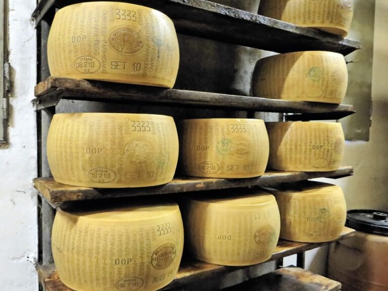 découvrez notre sélection de fromagers passionnés et dégustez des fromages artisanaux d’exception, fabriqués avec savoir-faire et amour du terroir. pour amateurs et gourmets en quête d’authenticité !