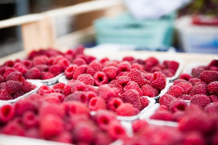 découvrez notre marketplace local, la plateforme idéale pour acheter et vendre des produits près de chez vous. profitez d'offres exclusives, soutenez les commerçants locaux et simplifiez vos achats du quotidien !