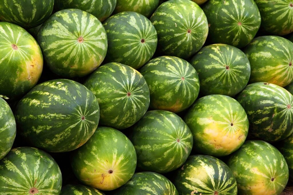 découvrez tout sur les producer markets : ces marchés locaux où producteurs et artisans proposent directement leurs produits frais, locaux et artisanaux. trouvez le meilleur marché près de chez vous !