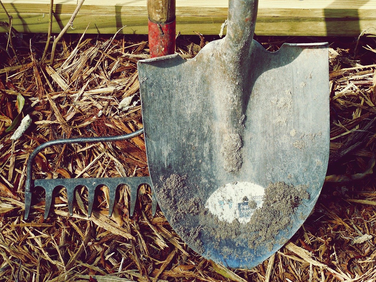 découvrez les meilleurs outils de gestion des promotions pour optimiser vos campagnes marketing, augmenter vos ventes et suivre facilement la performance de vos offres spéciales.