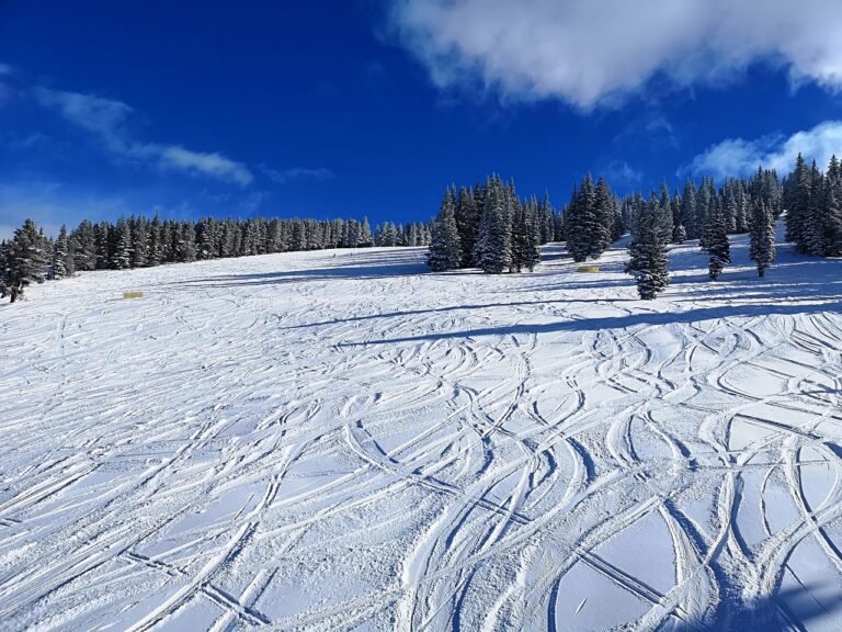 découvrez comment la publicité pour les stations de ski attire les amateurs de sports d'hiver grâce à des offres exclusives, des paysages époustouflants et des expériences uniques en montagne. optimisez vos campagnes et touchez plus de vacanciers !