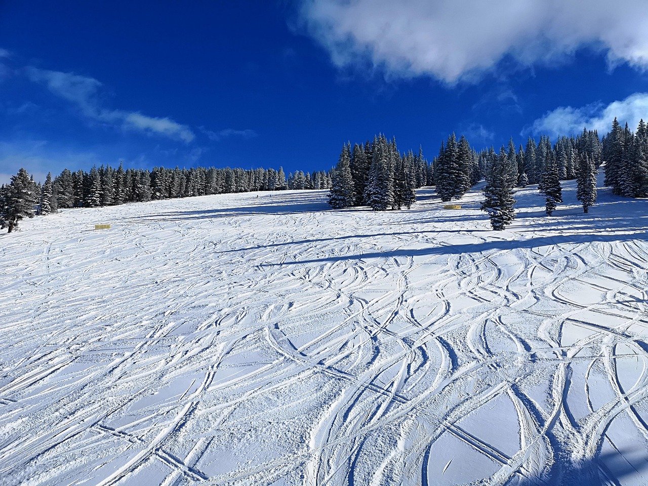 découvrez comment la publicité pour les stations de ski attire les amateurs de sports d'hiver grâce à des offres exclusives, des paysages époustouflants et des expériences uniques en montagne. optimisez vos campagnes et touchez plus de vacanciers !