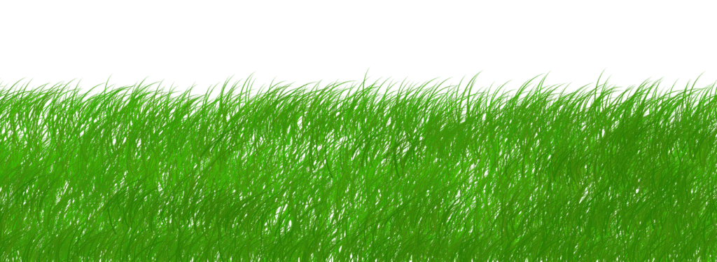 découvrez l'importance de la sustainability : enjeux écologiques, solutions durables et conseils pratiques pour adopter un mode de vie respectueux de l'environnement.