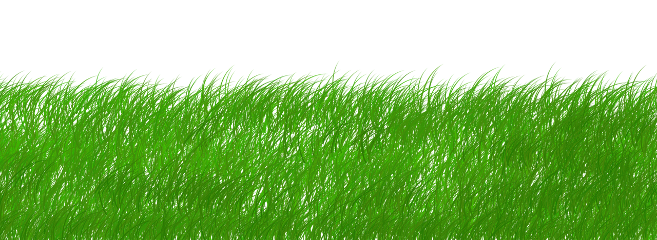 découvrez l'importance de la sustainability : enjeux écologiques, solutions durables et conseils pratiques pour adopter un mode de vie respectueux de l'environnement.