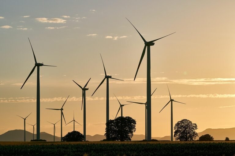 découvrez comment le tourisme durable préserve l'environnement tout en soutenant les communautés locales. adoptez des pratiques responsables pour voyager de manière éthique et respectueuse de la planète.