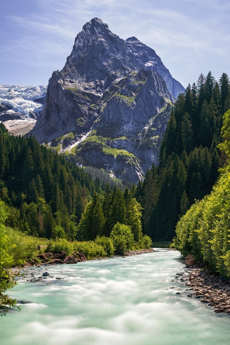 découvrez une sélection de produits suisses authentiques : qualité, savoir-faire et tradition au cœur de la suisse. achetez en ligne les meilleurs articles suisses.
