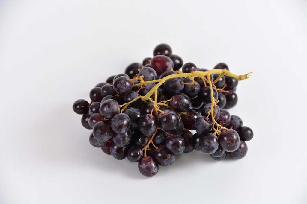 découvrez le terroir : ses traditions, ses produits authentiques et son influence sur la gastronomie. plongez au cœur des saveurs et du patrimoine local.