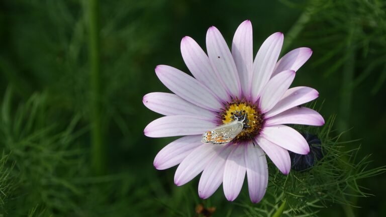 découvrez comment créer, gérer et optimiser vos campagnes pour atteindre efficacement vos objectifs marketing et toucher votre audience cible.