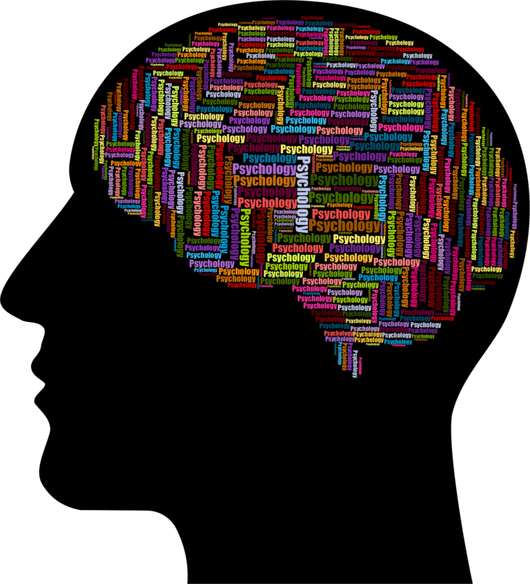découvrez les études en psychologie rurale : analyse des enjeux, des défis et des opportunités rencontrés par les populations vivant en milieu rural. explorez les dernières recherches et approches innovantes du domaine.