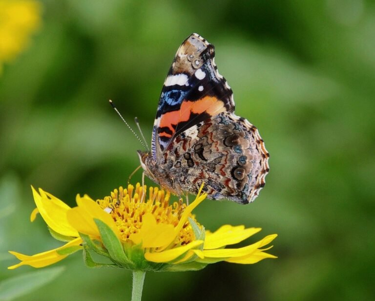 découvrez cet article qui explore en profondeur le sujet évoqué dans le titre. informations claires, conseils pratiques et analyse détaillée pour mieux comprendre et agir.